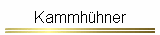 Kammhühner
